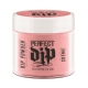 #2600312 Artistic Perfect Dip Coloured Powders ' Isn't It Magical? ' ( Coral Crème) 0.8 oz.